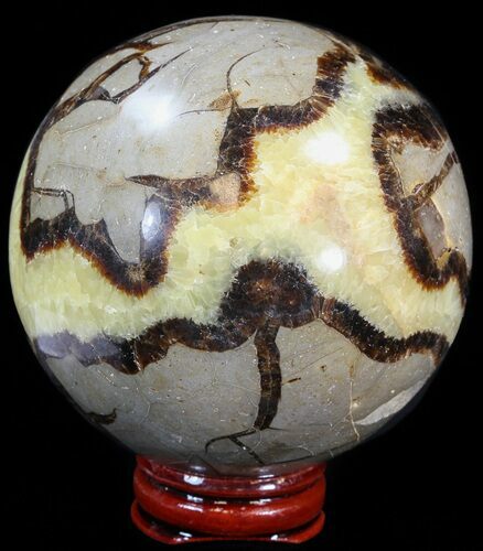 Polished Septarian Sphere - With Stand #43854